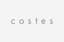 logo client costes