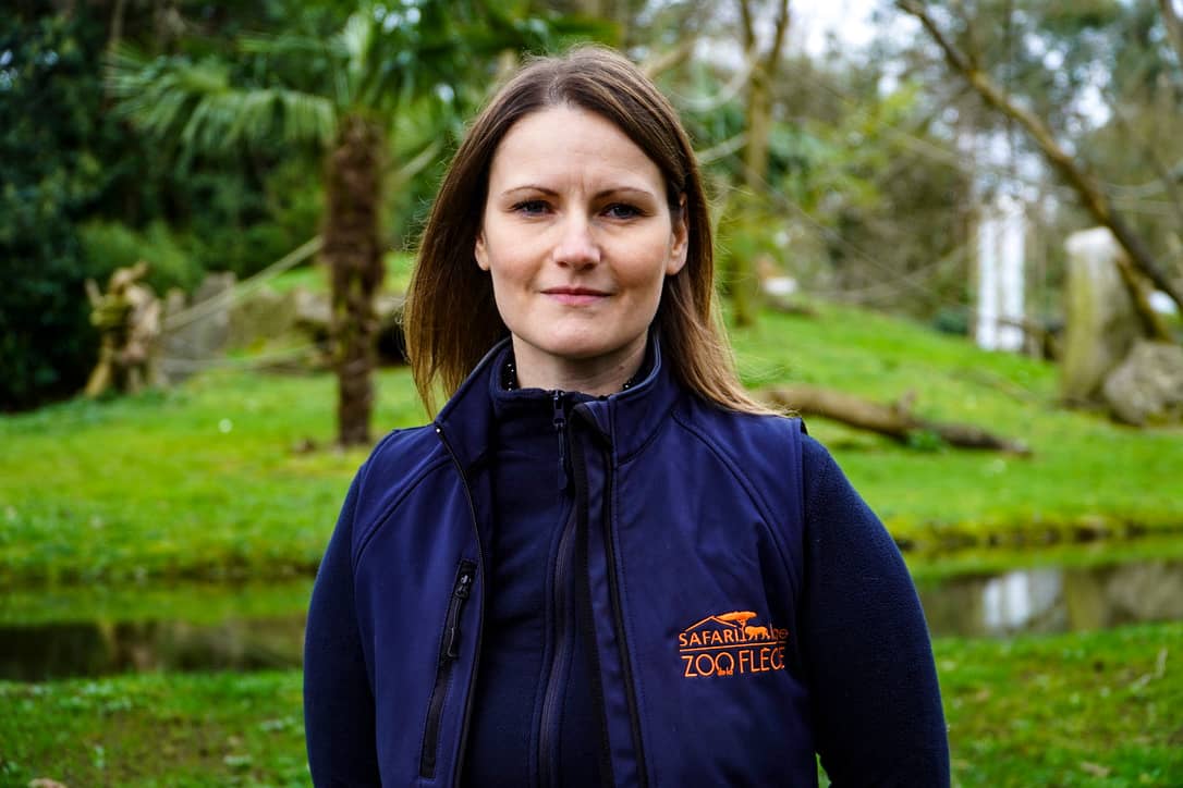 Safari Lodge & Suite