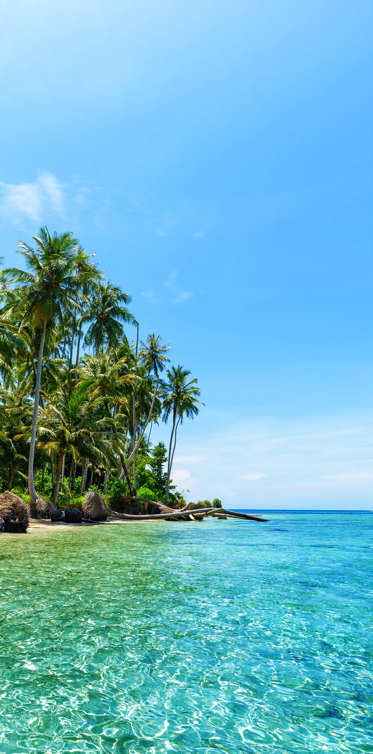 Serena Résidences by Sands